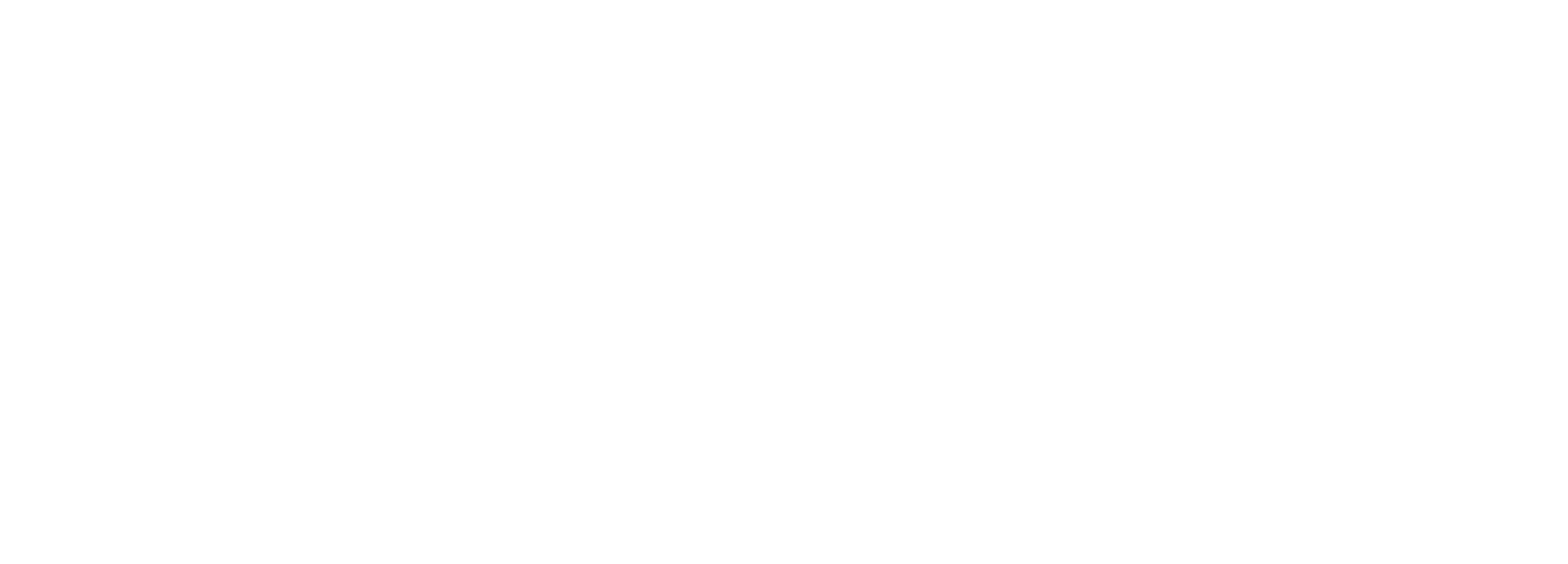TOP SHOP PASS